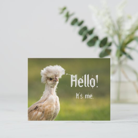hallo Eigen bericht Poolse kip Briefkaart (Staand voorkant)