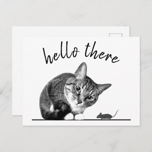 hallo en afscheid kat en muis leuke grappige kat briefkaart (Voorkant / Achterkant)