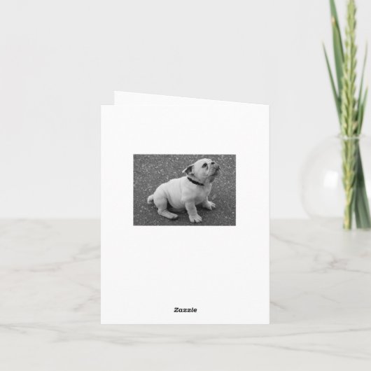 hallo Engelse Bulldog Puppy Dog Blank Note Card Kaart (Achterkant)