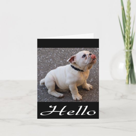 hallo Engelse Bulldog Puppy Dog Blank Note Card Kaart (Voorkant)