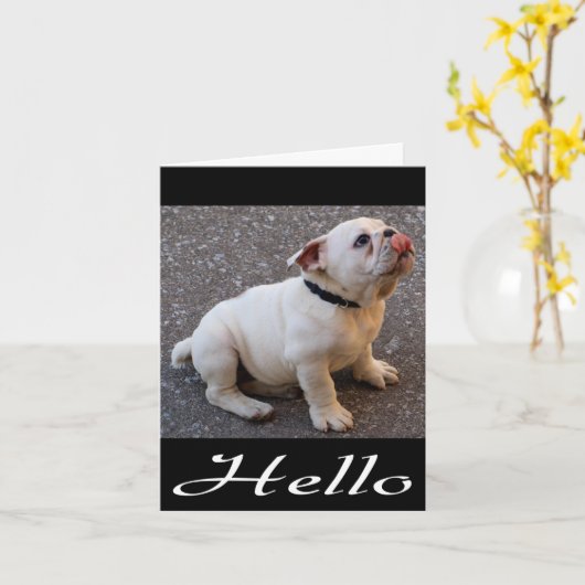 hallo Engelse Bulldog Puppy Dog Blank Note Card Kaart (Gele Bloem)