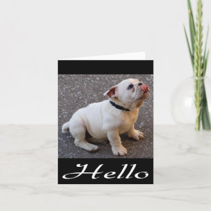 hallo Engelse Bulldog Puppy Dog Blank Note Card Kaart