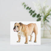 Hallo Engelse Bulldog Puppy Dog - Briefkaart (Staand voorkant)