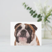 Hallo Engelse Bulldog Puppy Dog - Briefkaart (Staand voorkant)