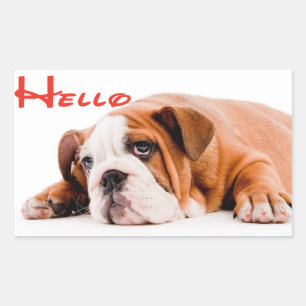 Hallo Engelse Bulldog Puppy Hond Sticker / Label