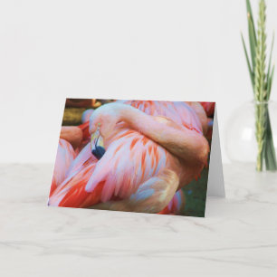 hallo/Enige Kaart_ Kaart