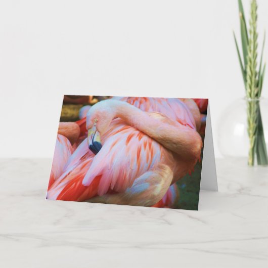 hallo/Enige Kaart_ Kaart (Voorkant)