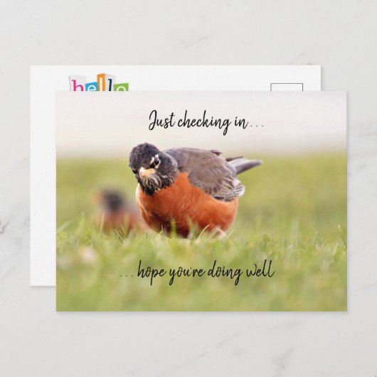 hallo—enkel het controleren in Briefkaart (Voorkant / Achterkant)