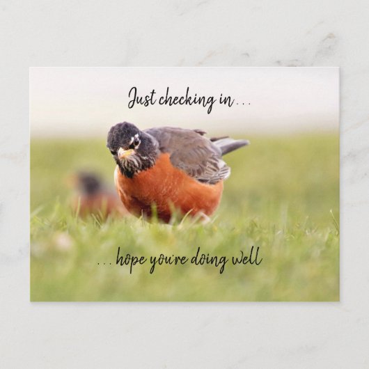 hallo—enkel het controleren in Briefkaart (Voorkant)