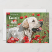 Hallo Favoriete foto's van vaarwel Bedankkaart (Voorkant)