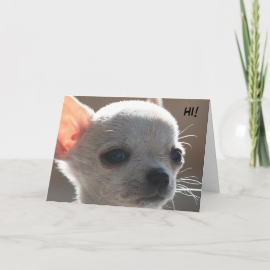 HALLO! FEESTDAGEN KAART (Voorkant)