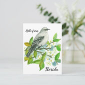 Hallo Florida Mockingbird Sinaasappel Blossom Briefkaart (Staand voorkant)