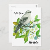 Hallo Florida Mockingbird Sinaasappel Blossom Briefkaart (Voorkant / Achterkant)
