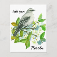 Hallo Florida Mockingbird Sinaasappel Blossom