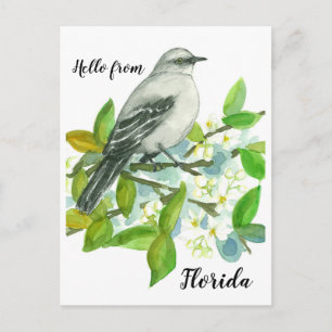 Hallo Florida Mockingbird Sinaasappel Blossom Briefkaart