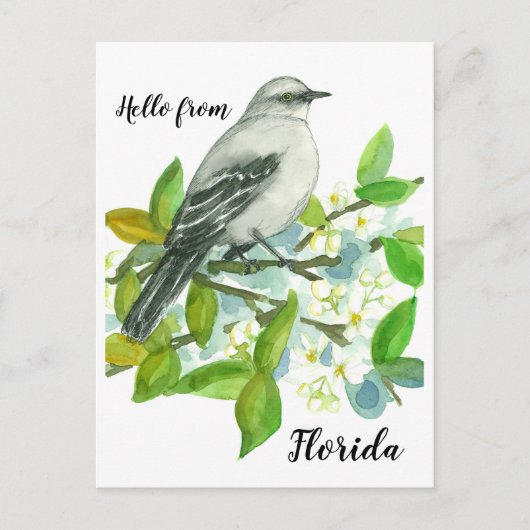 Hallo Florida Mockingbird Sinaasappel Blossom Briefkaart (Voorkant)