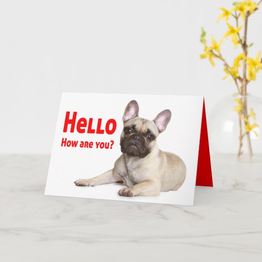 Hallo Franse Bulldog denkt aan je liefde Kaart (Gele Bloem)