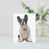 Hallo Franse Bulldog Puppy Dog - Liefde, Briefkaart (Staand voorkant)