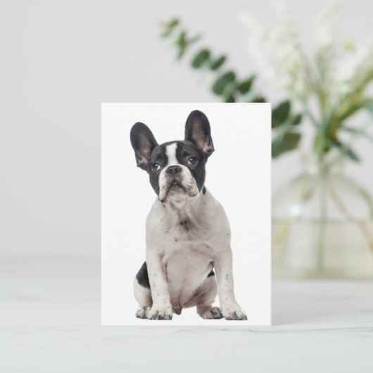 Hallo Franse Bulldog Puppy Dog - Liefde, Briefkaart (Staand voorkant)