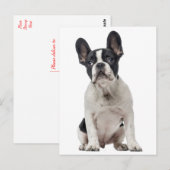 Hallo Franse Bulldog Puppy Dog - Liefde, Briefkaart (Voorkant / Achterkant)