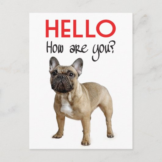 Hallo Franse Bulldog Puppy Dog Post Kaart (Voorkant)