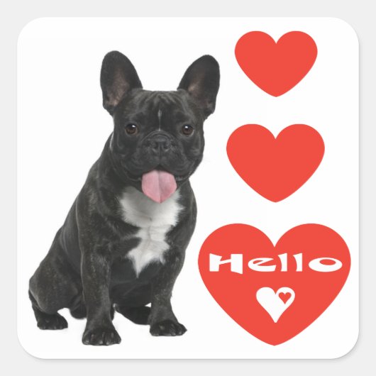 Hallo Franse Bulldog Puppy Dog Sticker / zeehonden (Voorkant)