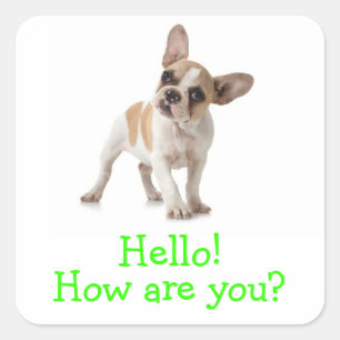 Hallo Franse Bulldog Puppy Hond Groet Sticker