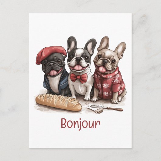 Hallo Franse Bulldogs Briefkaart (Voorkant)