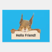hallo Friend Funny Squirrel Inpakpapier Vel (Voorkant 2)