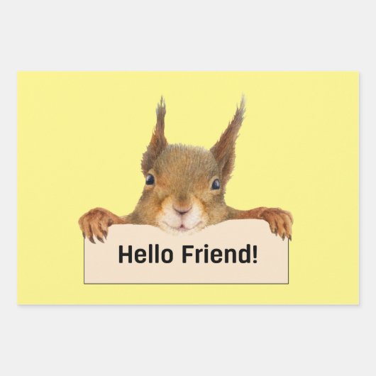 hallo Friend Funny Squirrel Inpakpapier Vel (Voorkant)