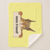 hallo Friend Funny Squirrel Sherpa Deken (Voorkant)