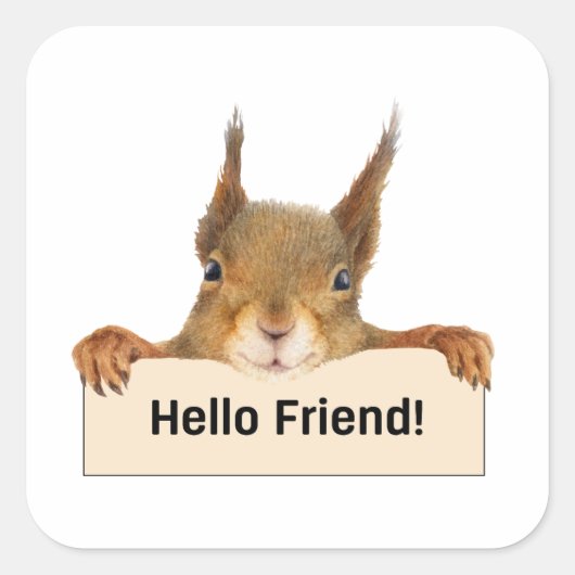 hallo Friend Funny Squirrel Vierkante Sticker (Voorkant)