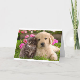 hallo Friend Golden Retriever Puppy Kitten Card Kaart