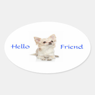 hallo Friend Long Hazard Chihuahua Sticker