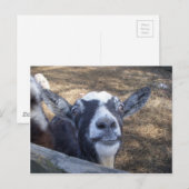 hallo Friendly Goat Briefkaart (Voorkant / Achterkant)