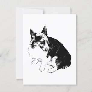 Hallo Frostmail Briefkaart