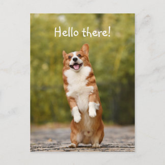 hallo. / Funny Corgi Briefkaart