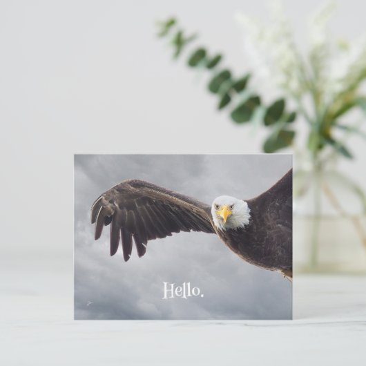 Hallo Funny Eagle Briefkaart (Staand voorkant)