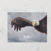 Hallo Funny Eagle Briefkaart (Voorkant / Achterkant)