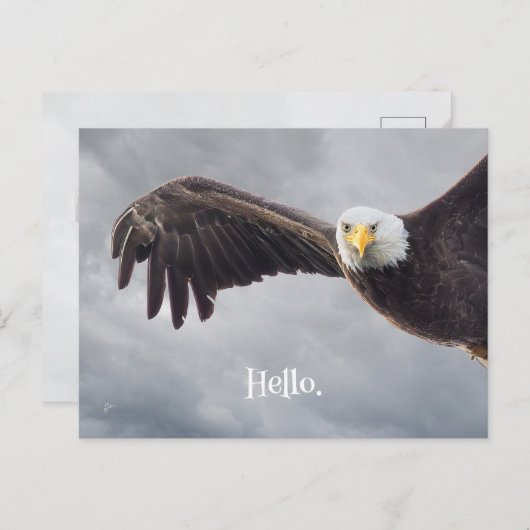 Hallo Funny Eagle Briefkaart (Voorkant / Achterkant)