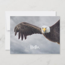 Hallo Funny Eagle