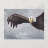 Hallo Funny Eagle Briefkaart (Voorkant)