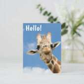 Hallo €? | Funny Giraffe Animal Briefkaart (Staand voorkant)
