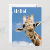 Hallo €? | Funny Giraffe Animal Briefkaart (Voorkant / Achterkant)