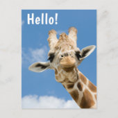 Hallo €? | Funny Giraffe Animal Briefkaart (Voorkant)