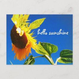 Hallo Geel Zonnebloem Foto Briefkaart