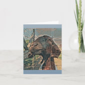 Hallo Geit Kaart - Blankd (Voorkant)