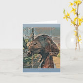 Hallo Geit Kaart - Blankd (Gele Bloem)