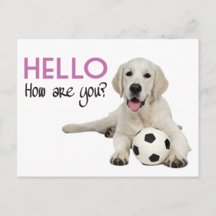 Hallo Gele Labrador Retriever Ansichtkaart Briefkaart