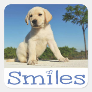 hallo gele labrador Retriever Puppy Dog Vierkante Sticker
